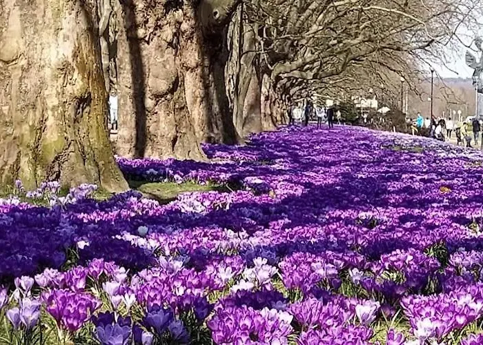 In Near Puszcza Bukowa 펜션