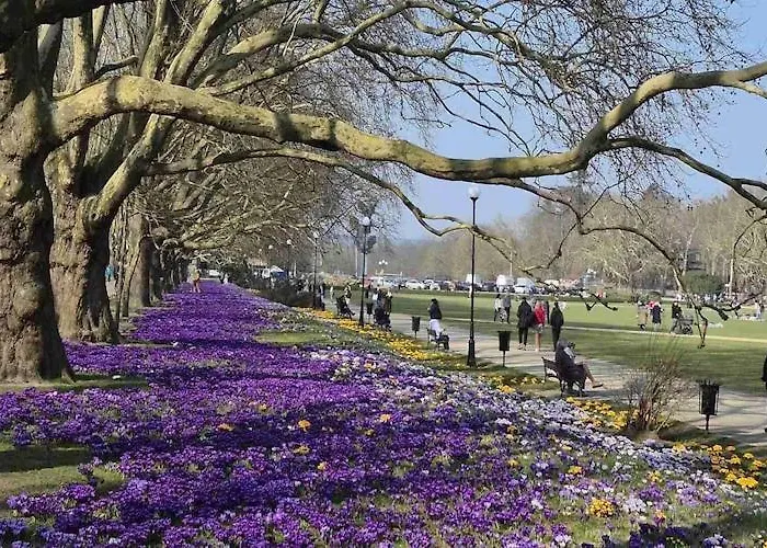 In Near Puszcza Bukowa 슈체친